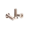 F-One M6 Torx csavar több méretben