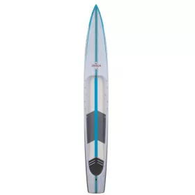   NAISH Javelin Carbon X22 (14'0'' x 22" x 256.0 L)
