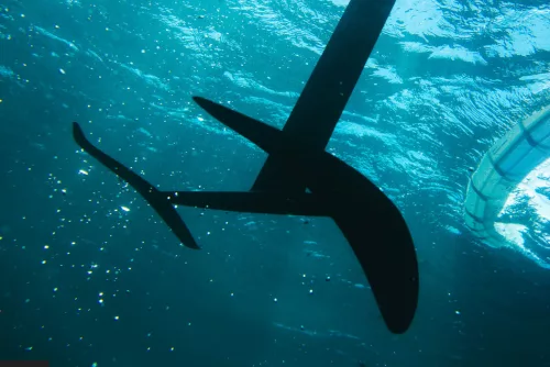 F-One T2 Escape Plane