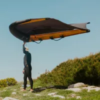 Wing 